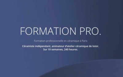 Formation professionnelle